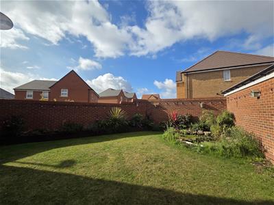 Picture 25